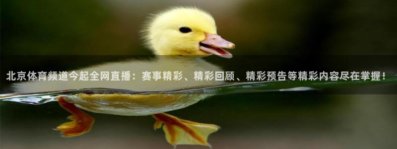 北京体育频道今起全网直播：赛事精彩、精彩回顾、精彩预告等精彩内容尽在掌握！
