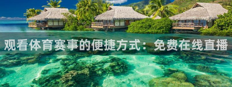 观看体育赛事的便捷方式：免费在线直播