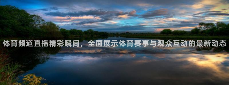 体育频道直播精彩瞬间，全面展示体育赛事与观众互动的最新动态
