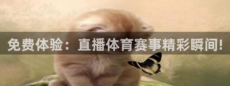 免费体验：直播体育赛事精彩瞬间!
