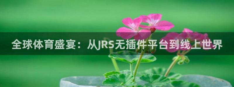 全球体育盛宴：从JRS无插件平台到线上世界