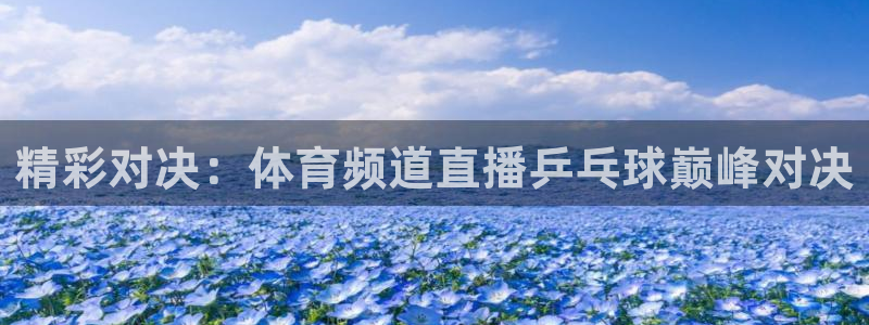 精彩对决：体育频道直播乒乓球巅峰对决