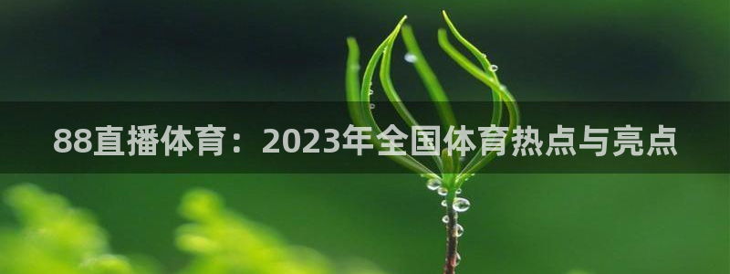 88直播体育：2023年全国体育热点与亮点