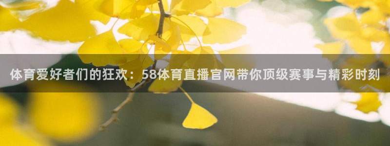 体育爱好者们的狂欢：58体育直播官网带你顶级赛事与精彩时刻