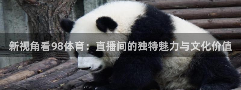 新视角看98体育：直播间的独特魅力与文化价值