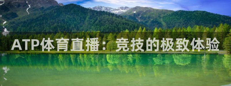 ATP体育直播：竞技的极致体验