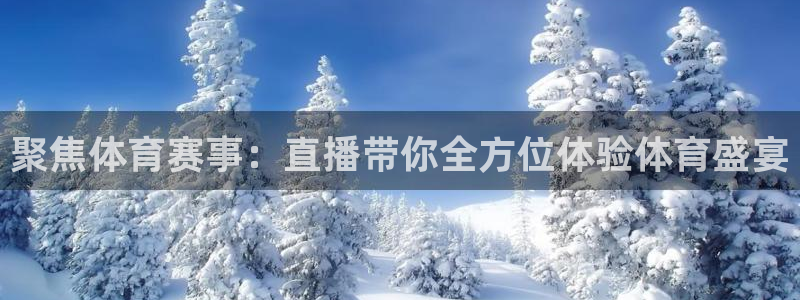 聚焦体育赛事：直播带你全方位体验体育盛宴