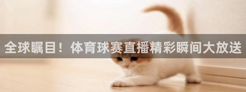 全球瞩目！体育球赛直播精彩瞬间大放送