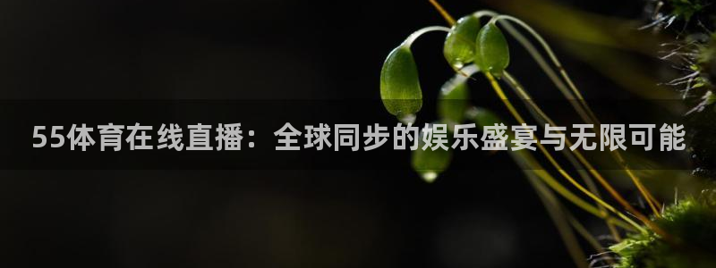 55体育在线直播：全球同步的娱乐盛宴与无限可能