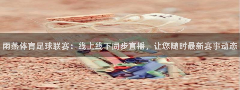 雨燕体育足球联赛：线上线下同步直播，让您随时最新赛事动态