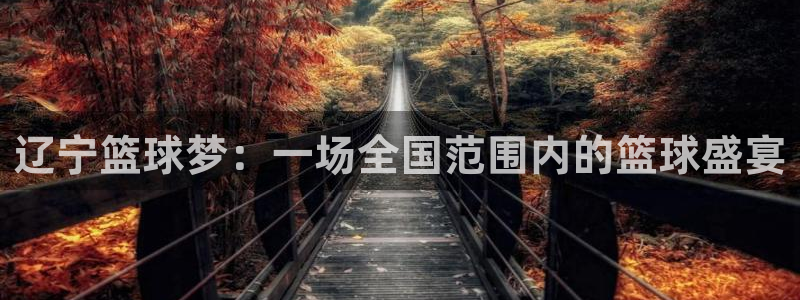 辽宁篮球梦：一场全国范围内的篮球盛宴
