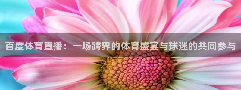 百度体育直播：一场跨界的体育盛宴与球迷的共同参与