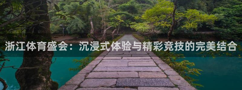 浙江体育盛会：沉浸式体验与精彩竞技的完美结合