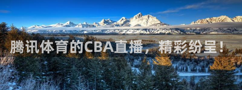 腾讯体育的CBA直播，精彩纷呈！