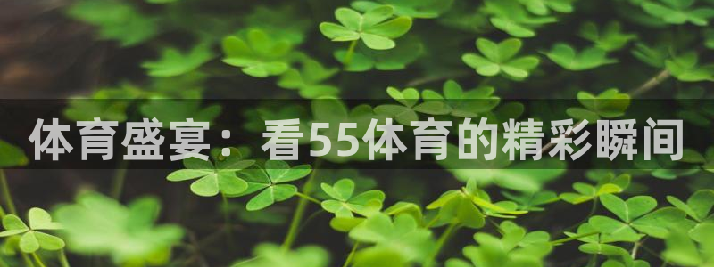 体育盛宴：看55体育的精彩瞬间
