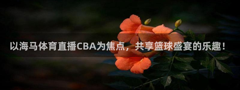 以海马体育直播CBA为焦点，共享篮球盛宴的乐趣！
