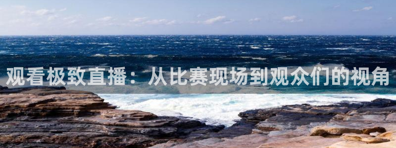 观看极致直播：从比赛现场到观众们的视角
