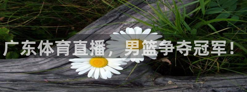 广东体育直播，男篮争夺冠军！