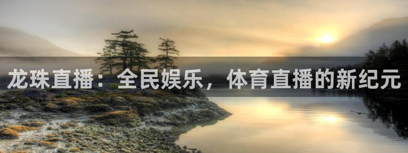 龙珠直播：全民娱乐，体育直播的新纪元