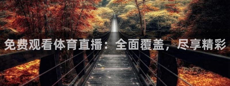 免费观看体育直播：全面覆盖，尽享精彩