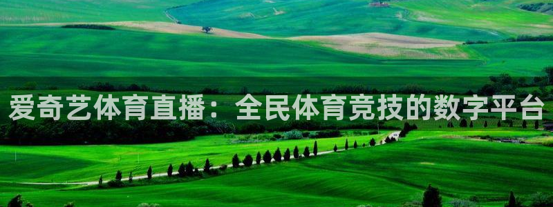爱奇艺体育直播：全民体育竞技的数字平台