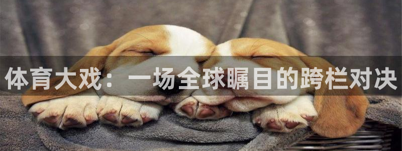 体育大戏：一场全球瞩目的跨栏对决