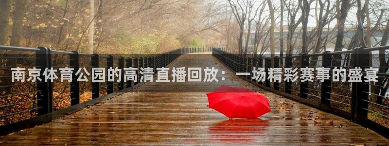 南京体育公园的高清直播回放：一场精彩赛事的盛宴