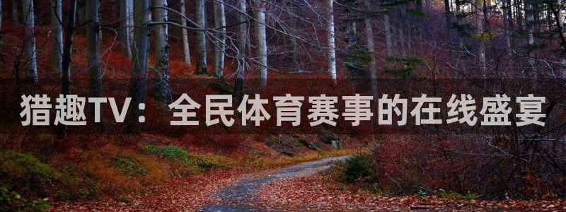 猎趣TV：全民体育赛事的在线盛宴