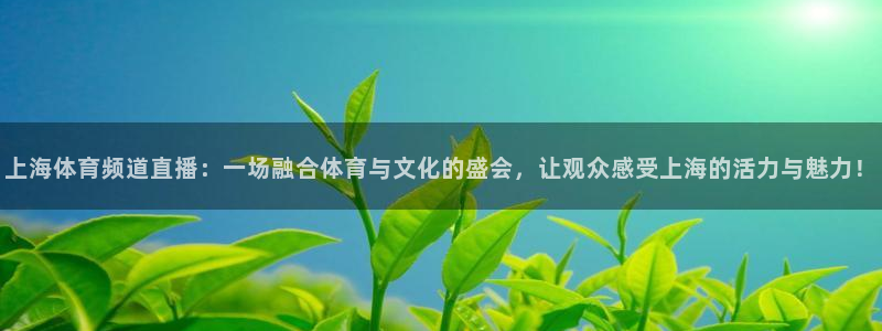 上海体育频道直播：一场融合体育与文化的盛会，让观众感受上海的活力与魅力！