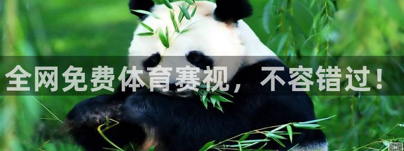 全网免费体育赛视，不容错过！