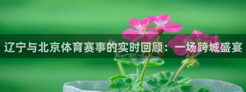 辽宁与北京体育赛事的实时回顾：一场跨城盛宴