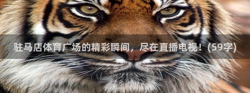 驻马店体育广场的精彩瞬间，尽在直播电视！(59字)