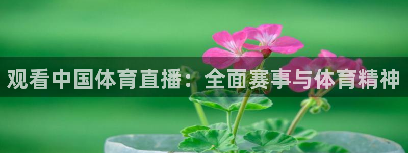 观看中国体育直播：全面赛事与体育精神