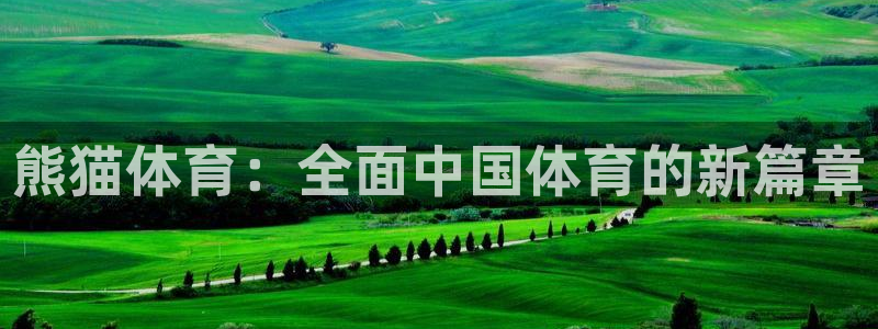 熊猫体育：全面中国体育的新篇章