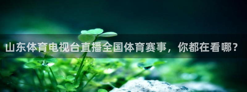 山东体育电视台直播全国体育赛事，你都在看哪？