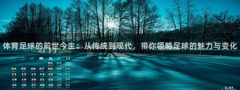 体育足球的前世今生：从传统到现代，带你领略足球的魅力与变化