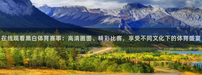 在线观看黑白体育赛事：高清画面、精彩比赛，享受不同文化下的体育盛宴