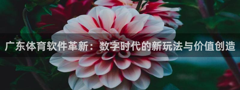 广东体育软件革新：数字时代的新玩法与价值创造