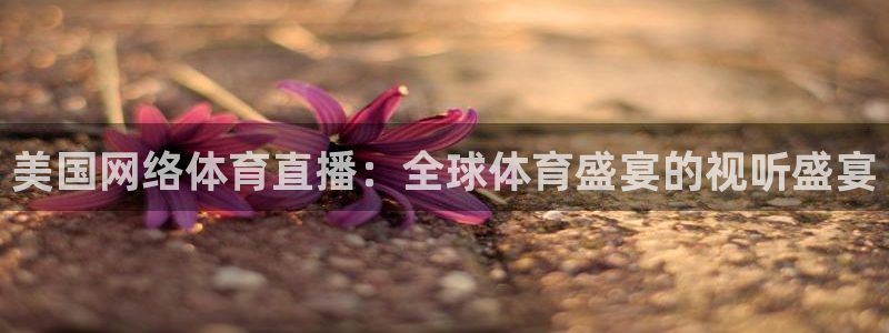 美国网络体育直播：全球体育盛宴的视听盛宴