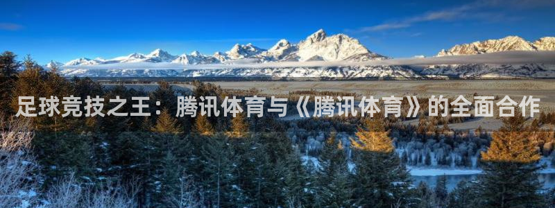 足球竞技之王：腾讯体育与《腾讯体育》的全面合作