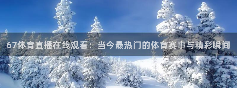 67体育直播在线观看：当今最热门的体育赛事与精彩瞬间