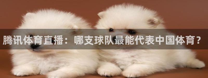 腾讯体育直播：哪支球队最能代表中国体育？