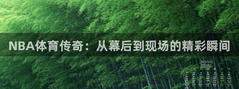 NBA体育传奇：从幕后到现场的精彩瞬间