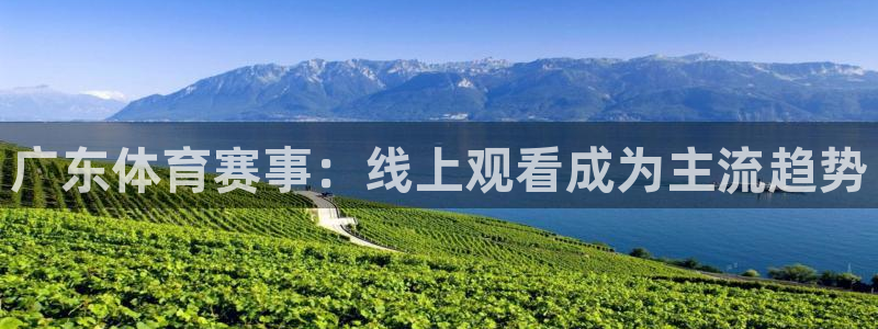 广东体育赛事：线上观看成为主流趋势