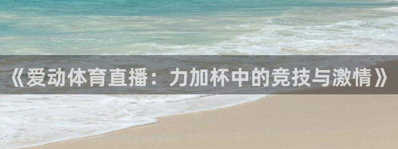 《爱动体育直播：力加杯中的竞技与激情》
